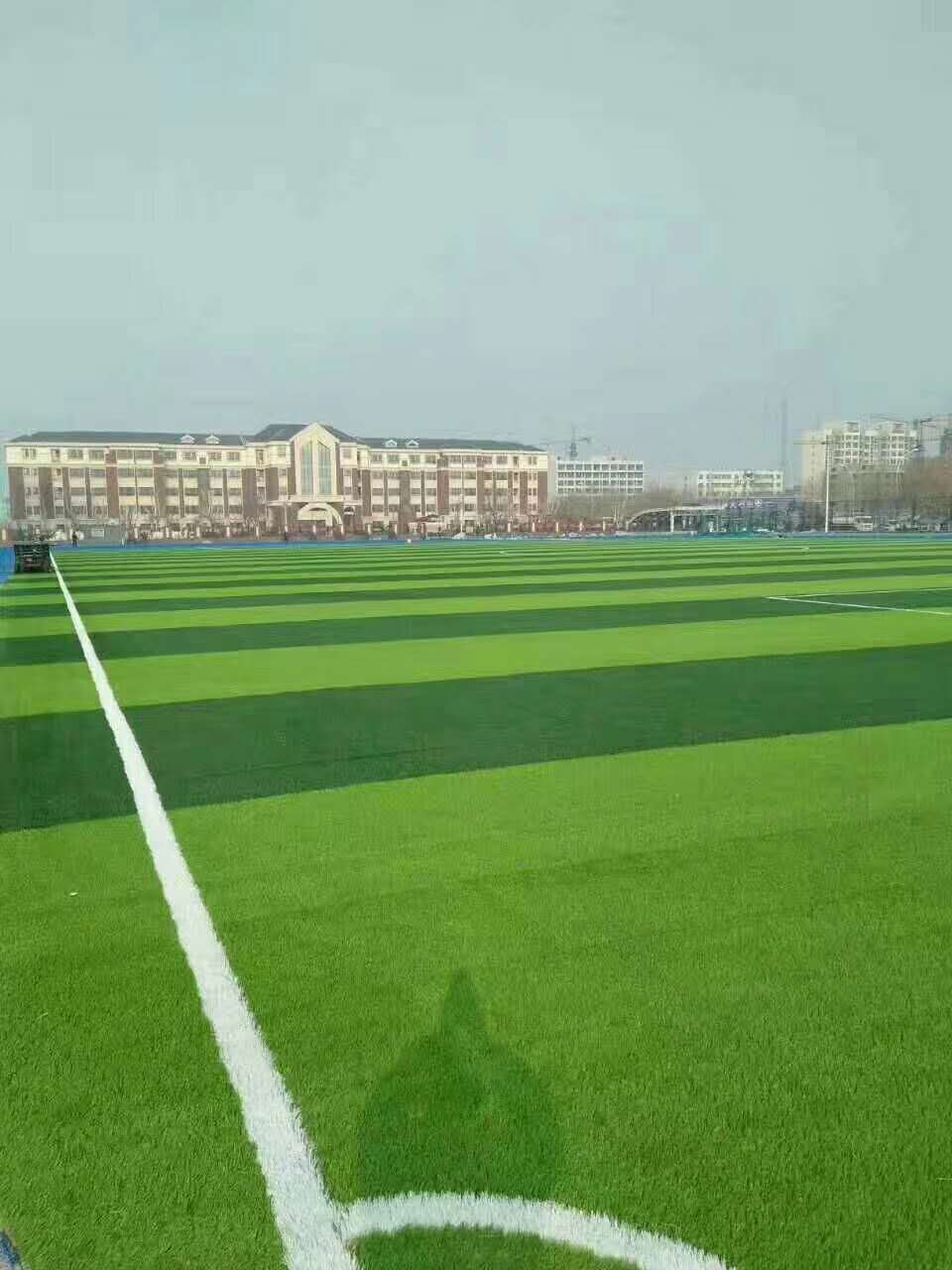 永州市epdm塑胶跑道仿真草坪 - 厂家